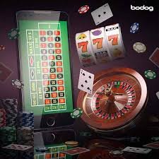 timbet777